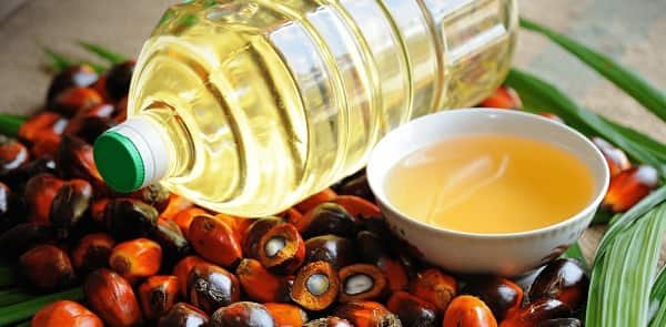 Palm Oil Business