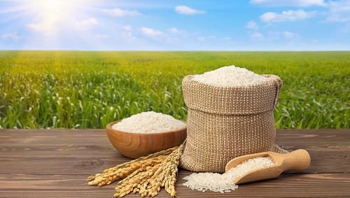 Rice Business Advantages and Disadvantages