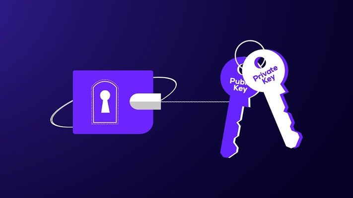 How Central Bank Digital Currencies Coexist with Private Crypto